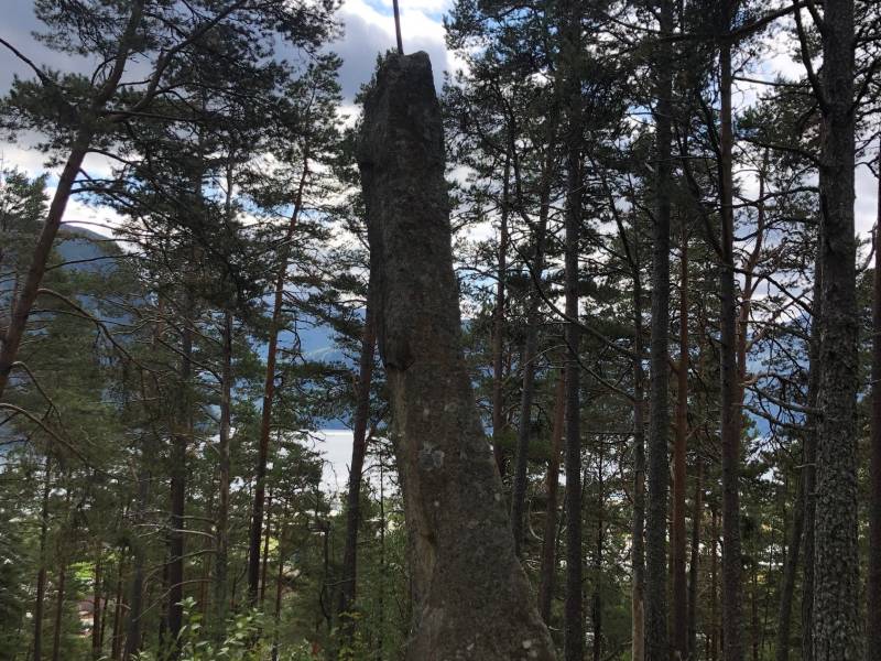 9_Olav_Haraldsson_bilde3